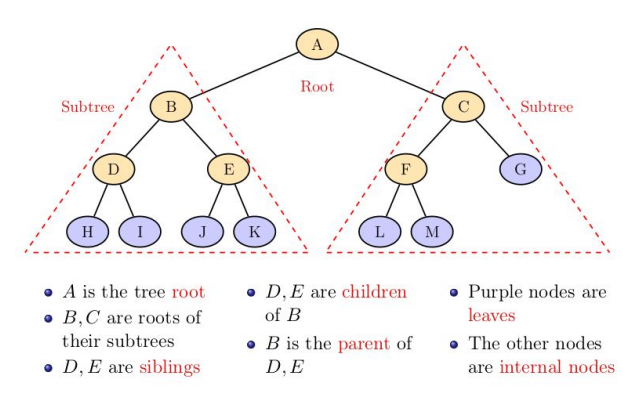 bt terminology 1 i3u4i34u
