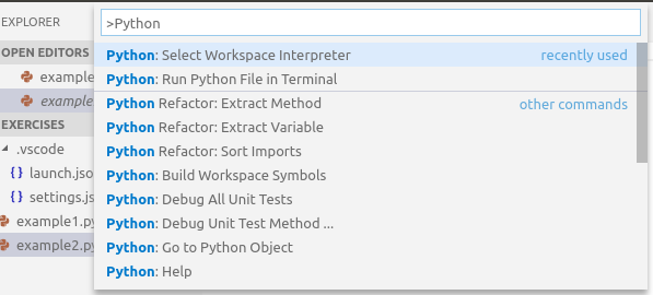 python interpreter uiu8ue